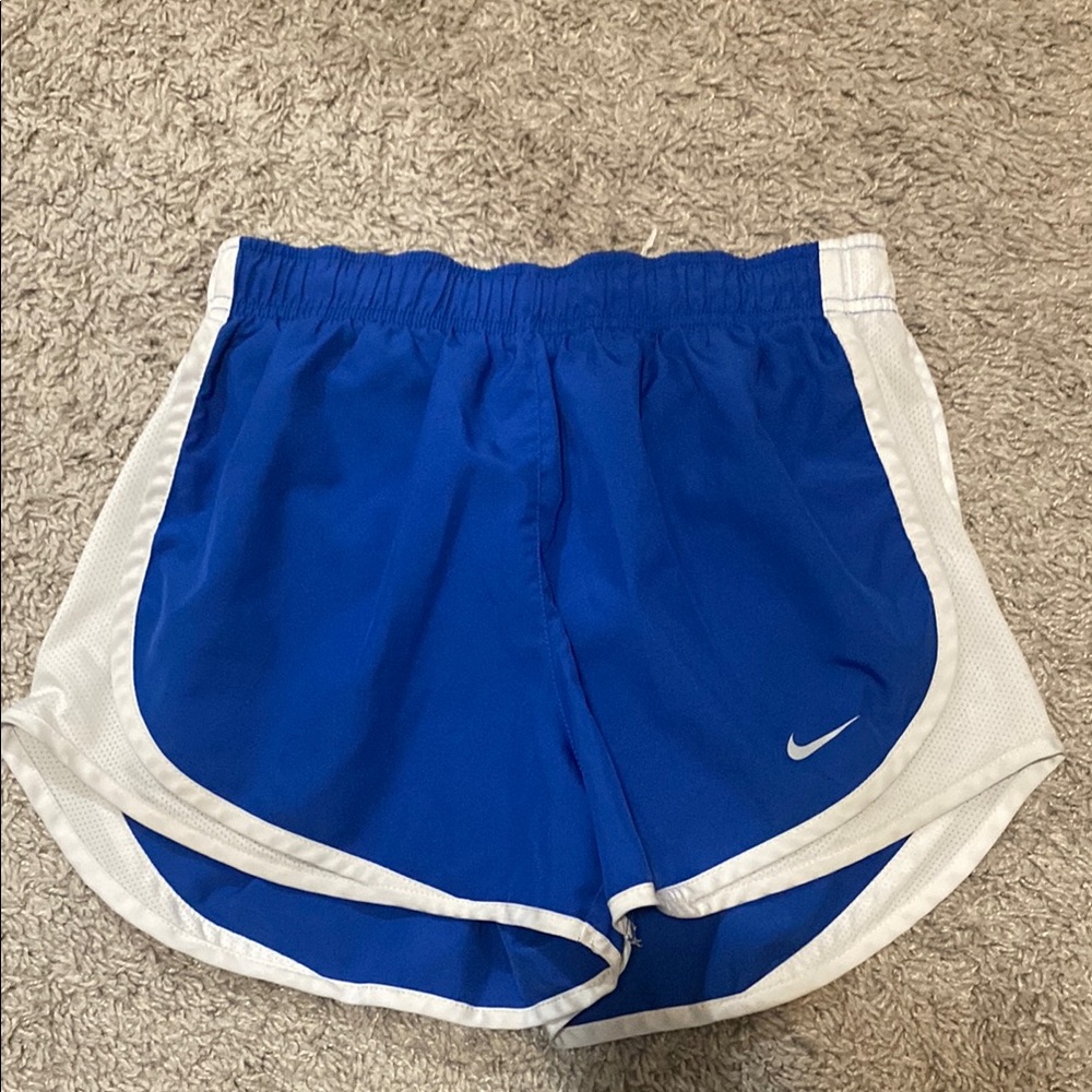 Nike Blue Athletic Shorts with White Side Panels